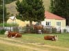 Estancia La Quinta, Argentina, El Chalten
